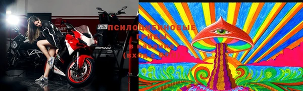соль ск Белокуриха