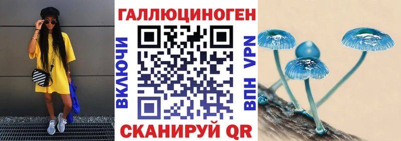 цена наркотик  Чердынь  маркетплейс клад  Псилоцибиновые грибы ЛСД 