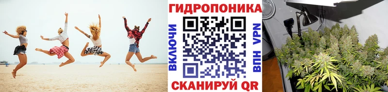 где продают   Чердынь  Марихуана ГИДРОПОН 
